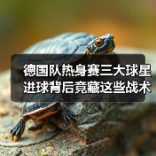 德国队热身赛三大球星进球背后竟藏这些战术玄机?-图5 德国队热身赛三大球星进球背后竟藏这些战术玄机?-图5
