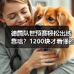 德国队世预赛轻松出线靠啥?1200块才看懂的真相-图7 德国队世预赛轻松出线靠啥?1200块才看懂的真相-图7