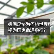 德国足协为何将世界杯视为国家命运象征?-图7 德国足协为何将世界杯视为国家命运象征?-图7