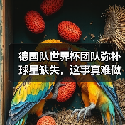 德国队世界杯团队弥补球星缺失,这事真难做到-图5 德国队世界杯团队弥补球星缺失,这事真难做到-图5