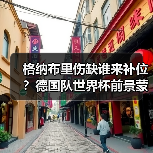 格纳布里伤缺谁来补位?德国队世界杯前景蒙阴影-图6 格纳布里伤缺谁来补位?德国队世界杯前景蒙阴影-图6