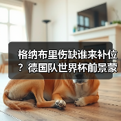格纳布里伤缺谁来补位?德国队世界杯前景蒙阴影-图7 格纳布里伤缺谁来补位?德国队世界杯前景蒙阴影-图7