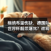 格纳布里伤缺,德国队世界杯前景堪忧?谁将接棒?-图7 格纳布里伤缺,德国队世界杯前景堪忧?谁将接棒?-图7