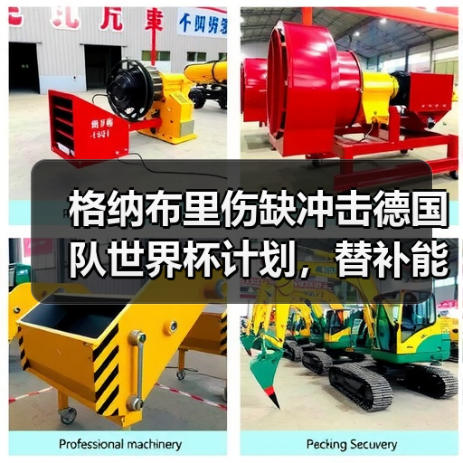 格纳布里伤缺冲击德国队世界杯计划,替补能否力挽狂澜?-图7 格纳布里伤缺冲击德国队世界杯计划,替补能否力挽狂澜?-图7