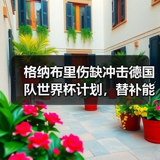 格纳布里伤缺冲击德国队世界杯计划,替补能否力挽狂澜?-图8 格纳布里伤缺冲击德国队世界杯计划,替补能否力挽狂澜?-图8