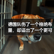 德比郡足球俱乐部 | 公羊队历史、赛程、新闻与最新阵容 --图16